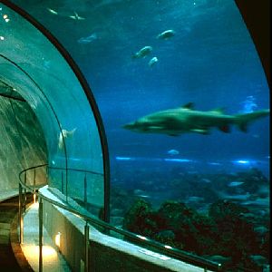 Various pictures of Barcelona