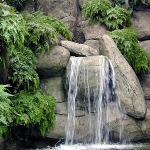 Various pictures of exhibits