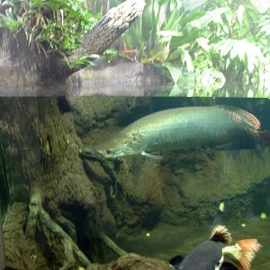 Various pictures of exhibits