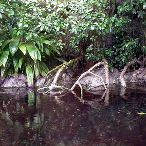 Various pictures of exhibits