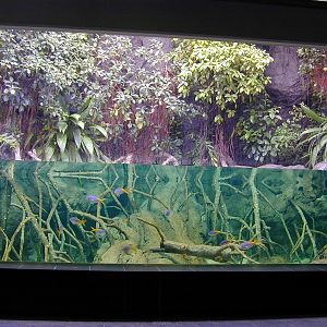 Various pictures of exhibits