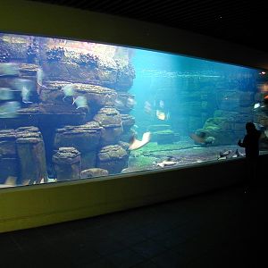 Various pictures of exhibits