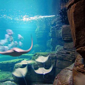 Various pictures of exhibits