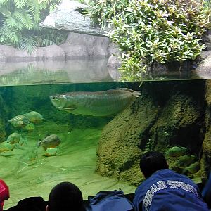 Various pictures of exhibits