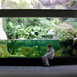 Various pictures of exhibits