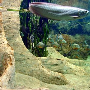 Various pictures of exhibits