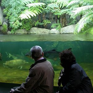 Various pictures of exhibits