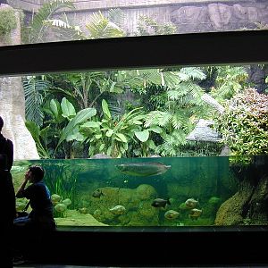 Various pictures of exhibits