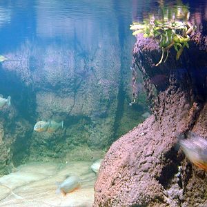 Various pictures of exhibits