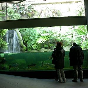 Various pictures of exhibits