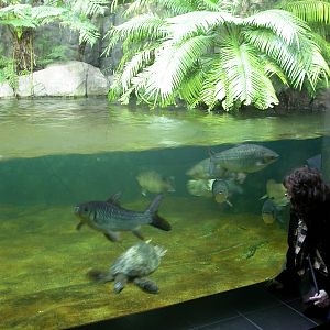 Various pictures of exhibits