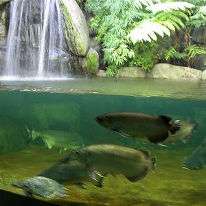 Various pictures of exhibits