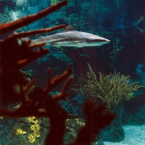 Various pictures of exhibits