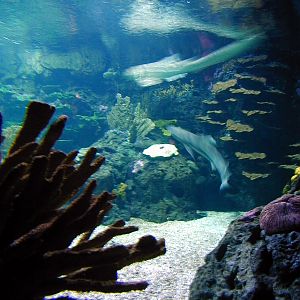 Various pictures of exhibits