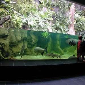 Various pictures of exhibits