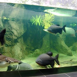 Various pictures of exhibits