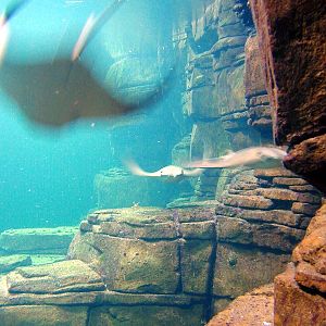 Various pictures of exhibits