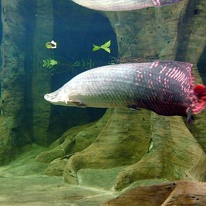 Various pictures of exhibits