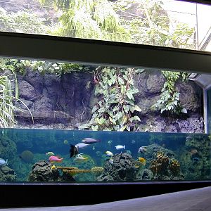 Various pictures of exhibits