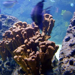 Various pictures of exhibits