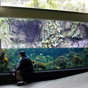 Various pictures of exhibits