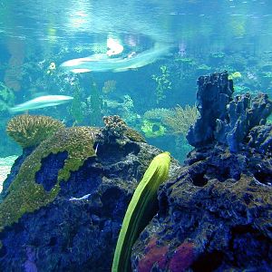 Various pictures of exhibits