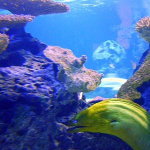 Various pictures of exhibits