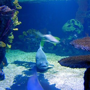 Various pictures of exhibits