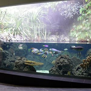 Various pictures of exhibits