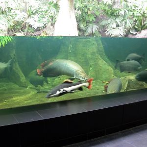 Various pictures of exhibits