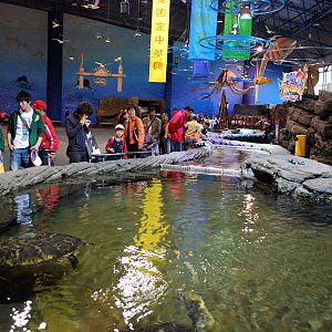 Various Exhibits at the beijing aquarium