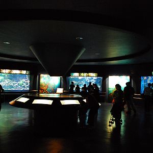 Various Exhibits at the beijing aquarium