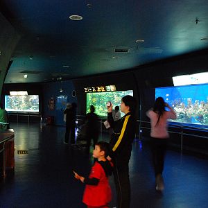 Various Exhibits at the beijing aquarium