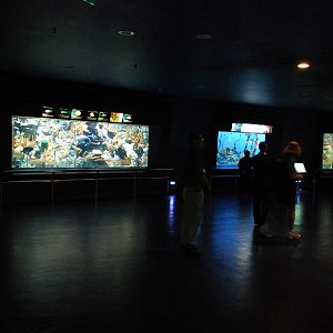 Various Exhibits at the beijing aquarium
