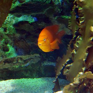 Various Exhibits at the beijing aquarium