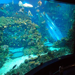 Various Exhibits at the beijing aquarium