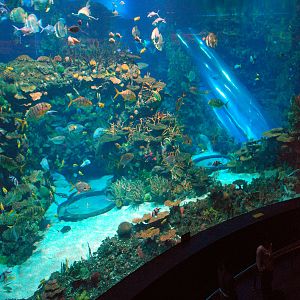 Various Exhibits at the beijing aquarium