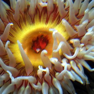 Various Exhibits at the beijing aquarium