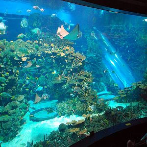 Various Exhibits at the beijing aquarium