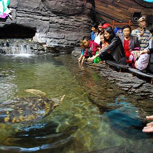 Various Exhibits at the beijing aquarium