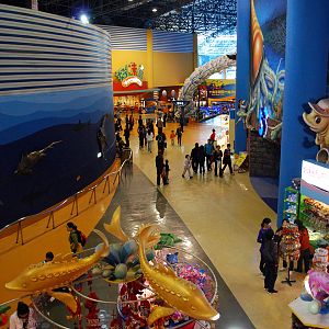 Various Exhibits at the beijing aquarium
