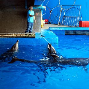 Various Exhibits at the beijing aquarium