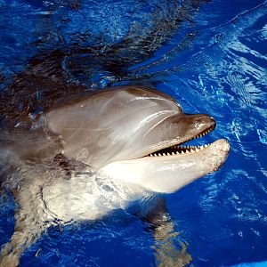 Various Exhibits at the beijing aquarium