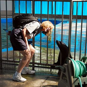 Various Exhibits at the beijing aquarium