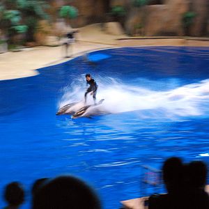 Various Exhibits at the beijing aquarium
