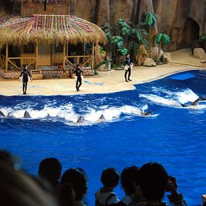 Various Exhibits at the beijing aquarium