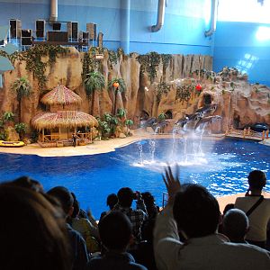 Various Exhibits at the beijing aquarium