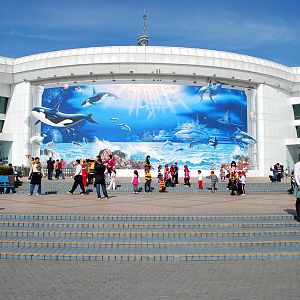 Various Exhibits at the beijing aquarium