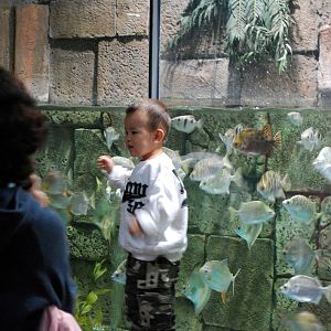 Various Exhibits at the beijing aquarium