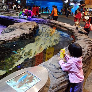 Various Exhibits at the beijing aquarium